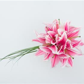 fwthumbPink Lily Bridal Bouquet.jpg